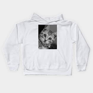 Beautiful Cat with big eyes Kids Hoodie